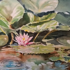 She Always Wanted a Lily Pond